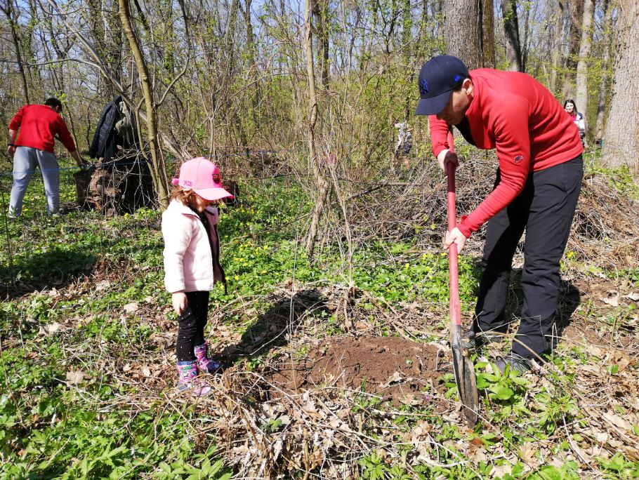 om cu cazmaua planteaza copaci